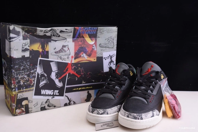 Animal Air CV3583-003 Retro Instinct Jordan 2.0 SE 3 - 0922